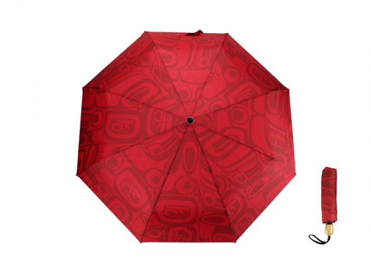 Raven Umbrella by Kelly Robinson