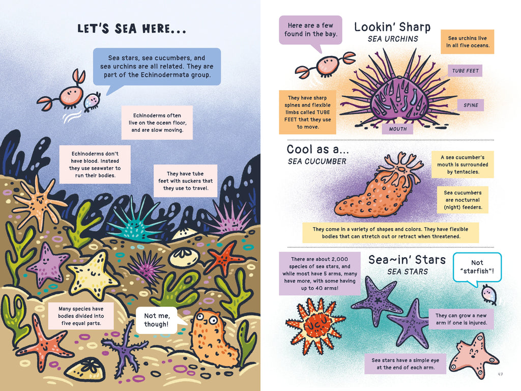 Barnacle Bay | Jana Curll