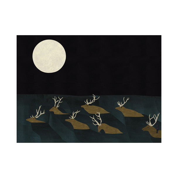 Card | Elk Crossing