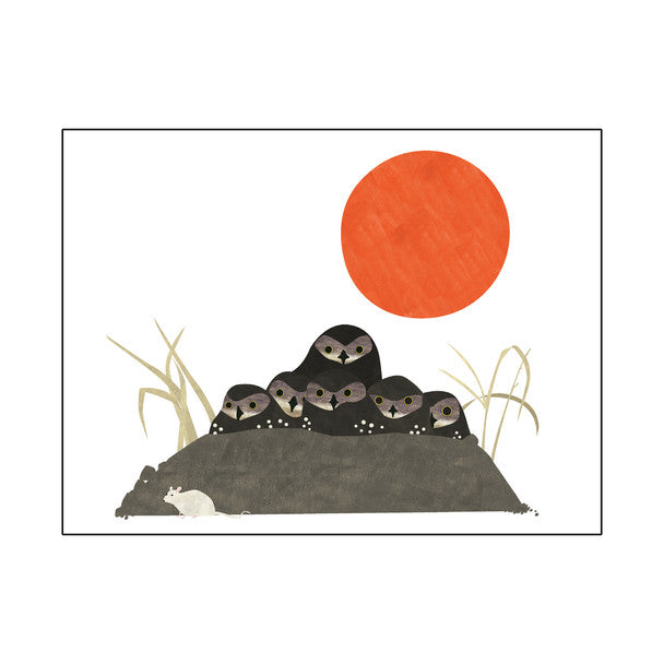 Card | Burrowing Owls Spotting